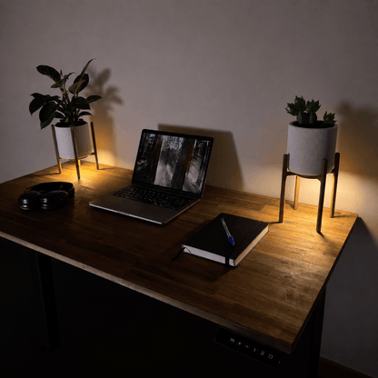 Helios - Light Up Stand