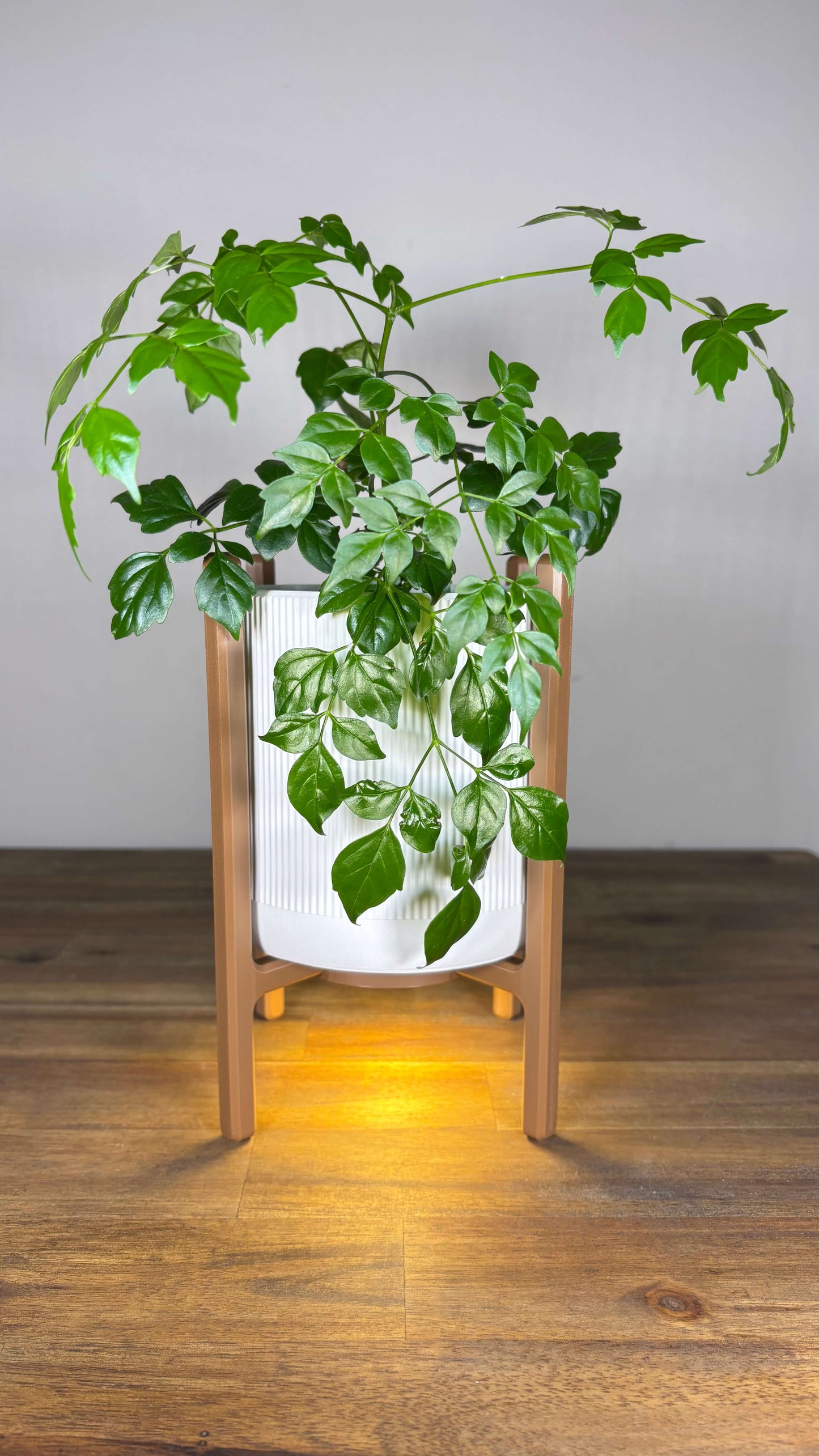 Helios - Light Up Stand